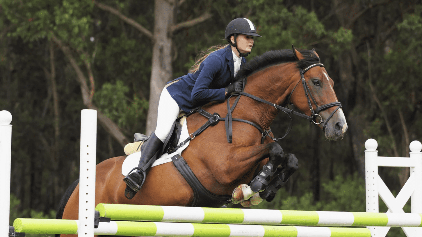 Horse and rider mid-jump in equestrian ring