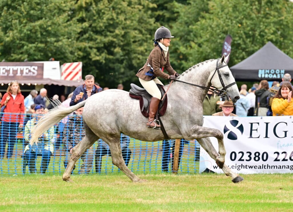 Horse and rider competing in the ring