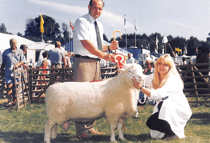 Young handler presenting a sheep during judging